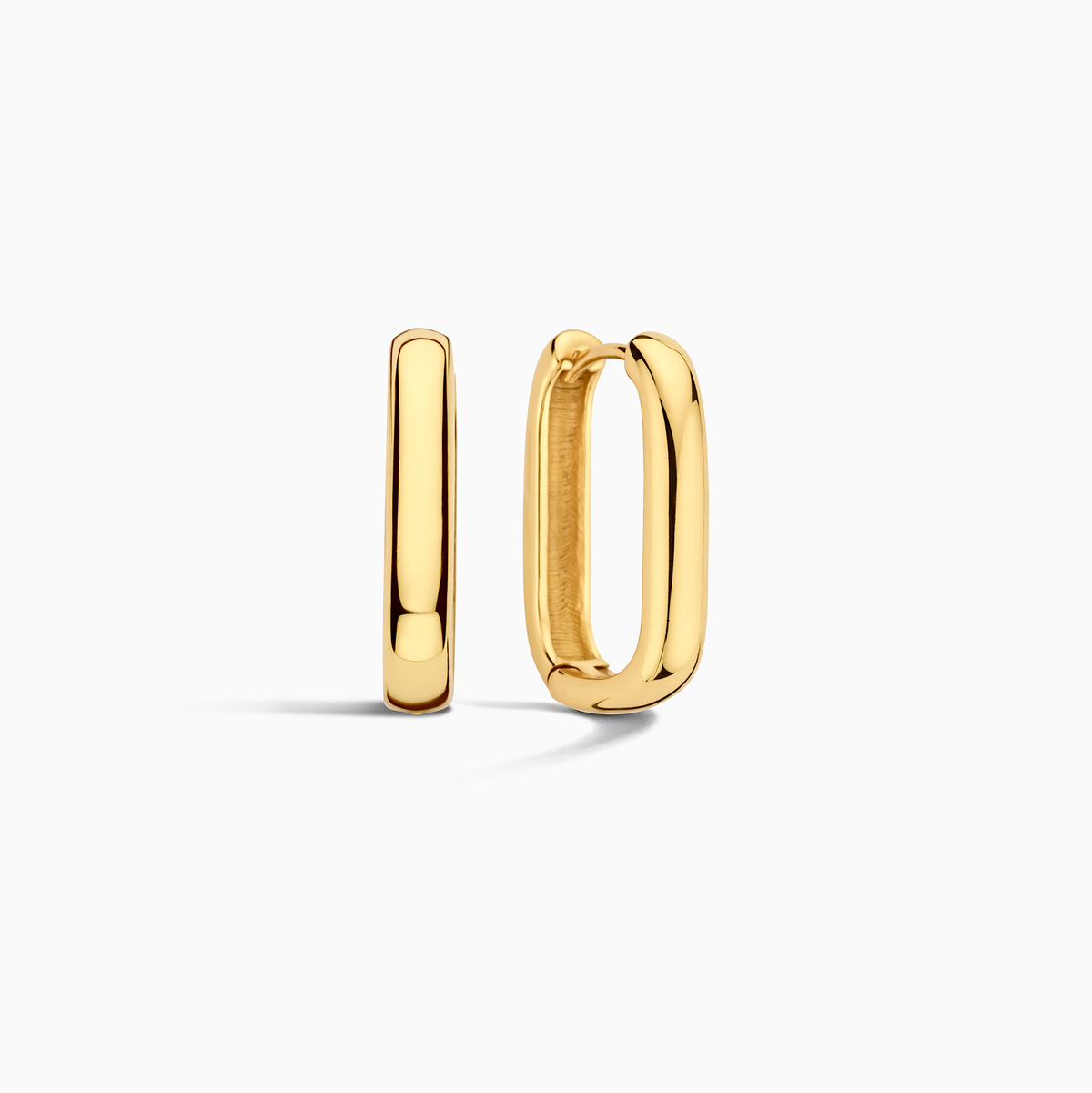 Icon oorringen | Goud