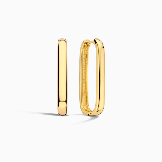 Icon oorringen | Goud