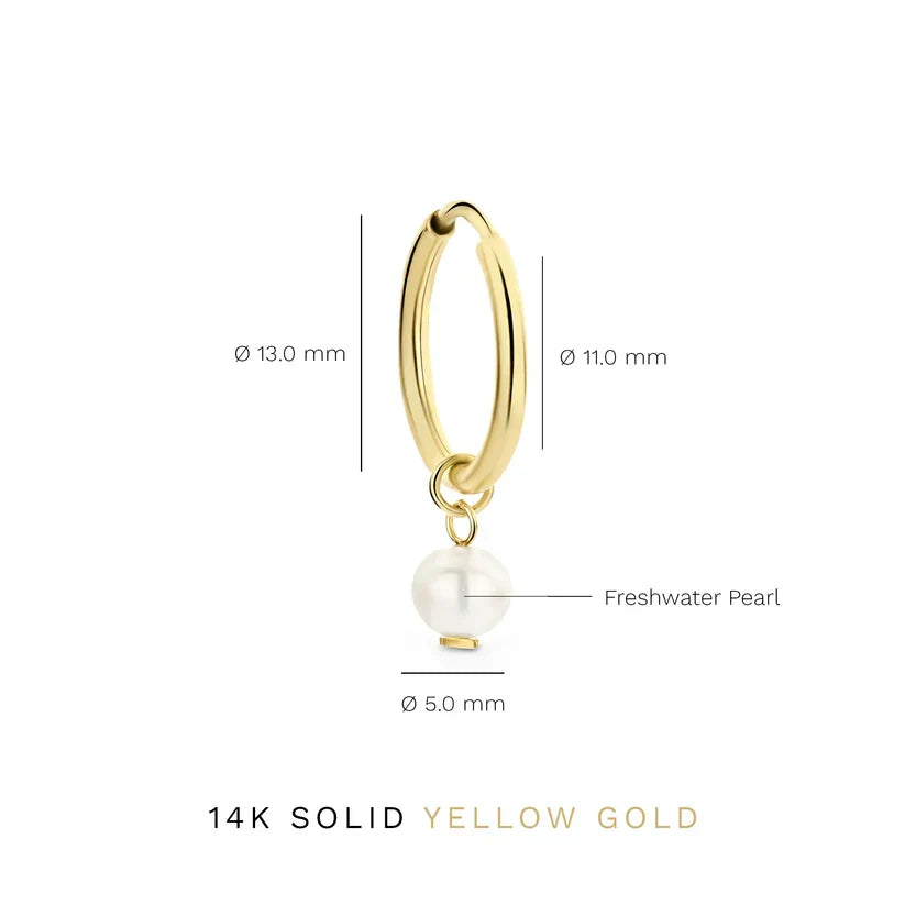 Delia oorbellen met embleem | Goud