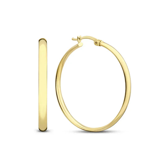 Noa Serane oorbellen | Goud