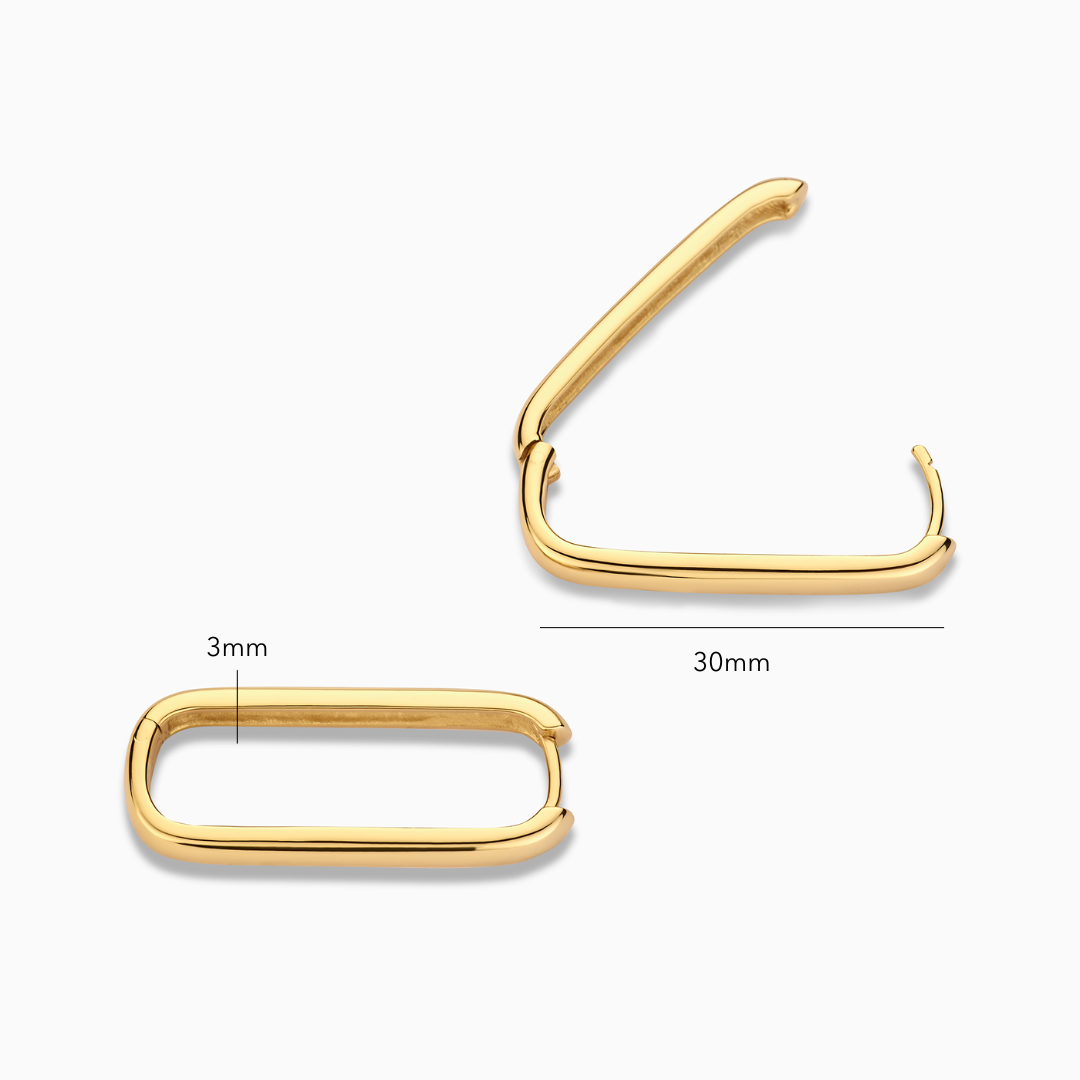 Icon oorringen | Goud