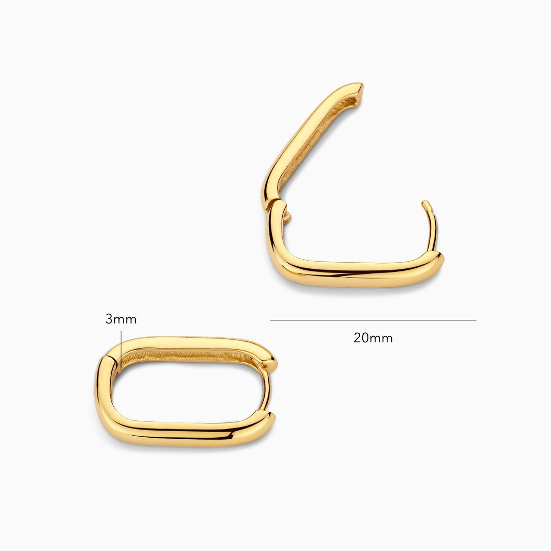 Icon oorringen | Goud